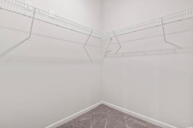 Spacious closet featuring carpet | Image 23
