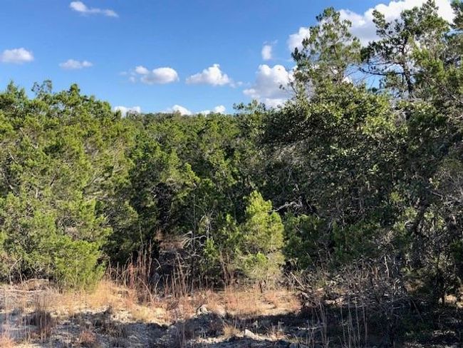 300 Onion Creek Ln, Home with 0 bedrooms, 0 bathrooms and null parking in Blanco TX | Image 4