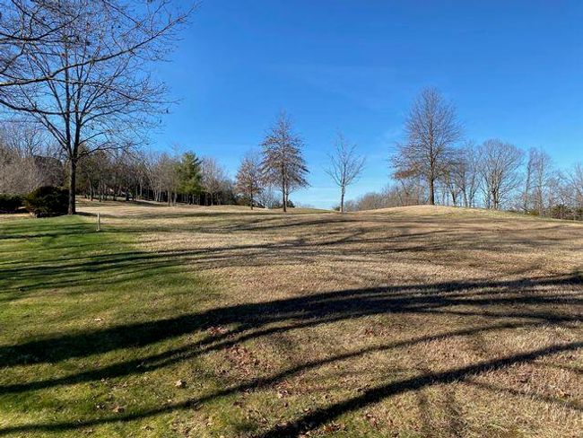Stonebridge golf course back of lot | Image 7