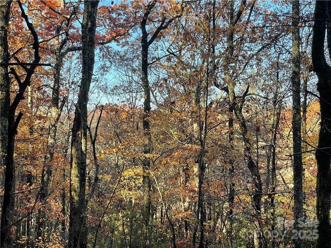 4 - 9999 Sassafras Ln, Home with 0 bedrooms, 0 bathrooms and null parking in Cedar Mountain NC | Image 29