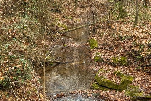 338 Piney Grove Rd, Harmony, NC, 28634-9014 | Card Image