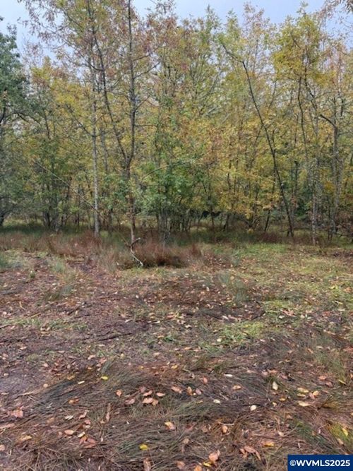 00 Mountain Home Dr, Brownsville, OR, 97327 | Card Image