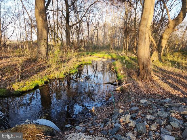 12355 Connelly Rd, Home with 0 bedrooms, 0 bathrooms and null parking in CORDOVA MD | Image 6