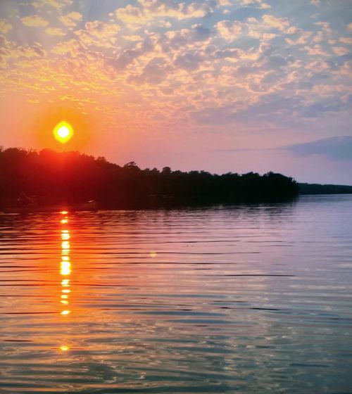 TBD 330th Ave, Rochert, MN, 56578 | Card Image