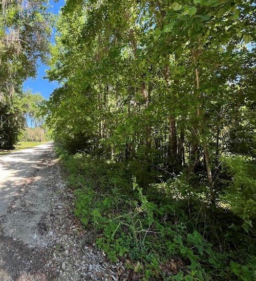 14220 Nw 182nd Lane, Williston, FL, 32696 | Card Image