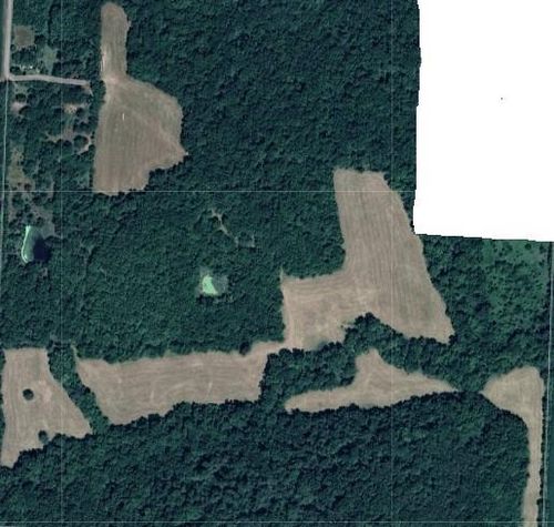 10009 Ne County Road 13004, Adrian, MO, 64720-5160 | Card Image