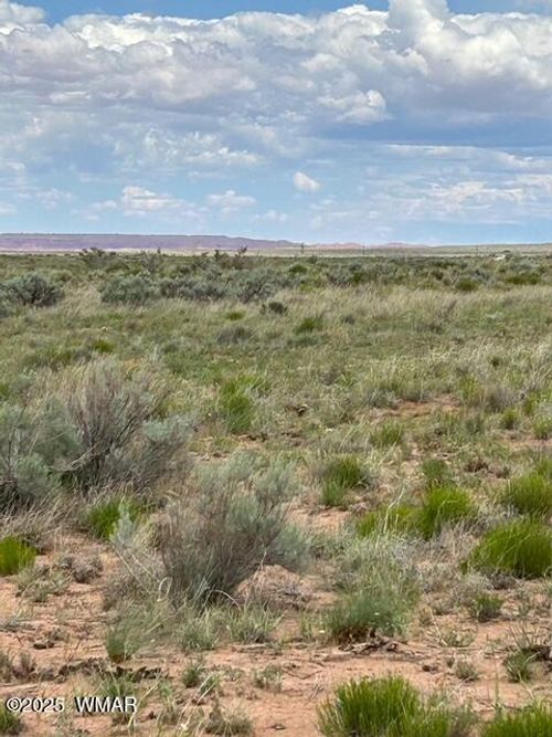 tbd Petrified Forest Rd, Holbrook, AZ, 86028 | Card Image