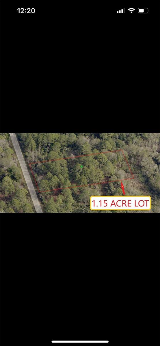 Land in CRYSTAL RIVER 3