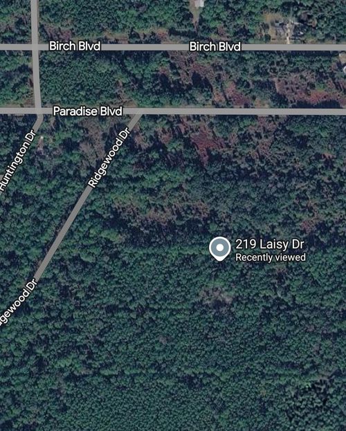 219 Laisy Dr, Georgetown, FL, 32139 | Card Image