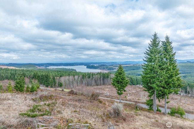 497 Red Hawk Dr, Home with 0 bedrooms, 0 bathrooms and null parking in Castle Rock WA | Image 6