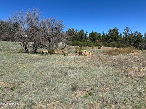 33-1301 Lakeside Dr, Show Low, AZ, 85901 | Card Image