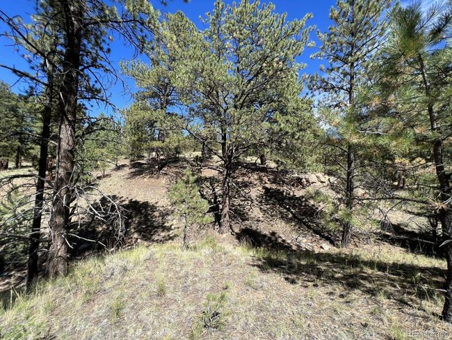 82 Kiowa Cir, Home with 0 bedrooms, 0 bathrooms and null parking in Westcliffe CO | Image 11