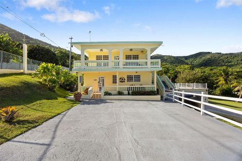 Carr 3 Camino Cooperativo, PATILLAS, PR, 00723 | Card Image