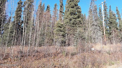 Lot 3 Nenana St, Nenana, AK, 99760 | Card Image