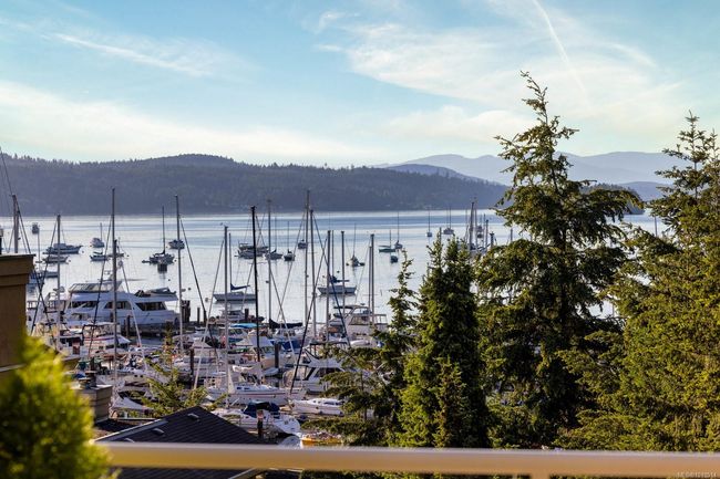 View from patio | Image 37