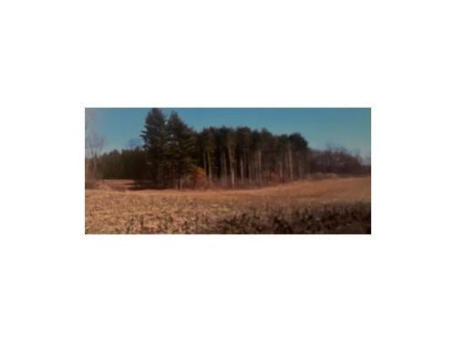 40 Acres Kilbourne, Kilbourne, IL, 62655 | Card Image