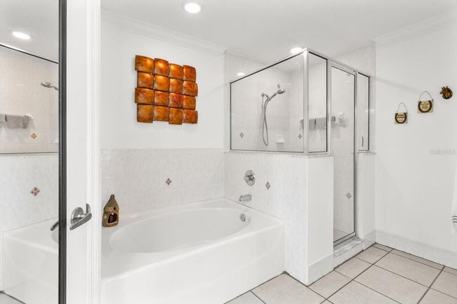 Master Bathroom w/ Tiled Shower & Separate Garden Tub | Image 27