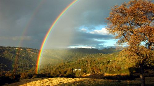 10428 Riffle Box Rd, Rough and Ready, CA, 95975-9747 | Card Image