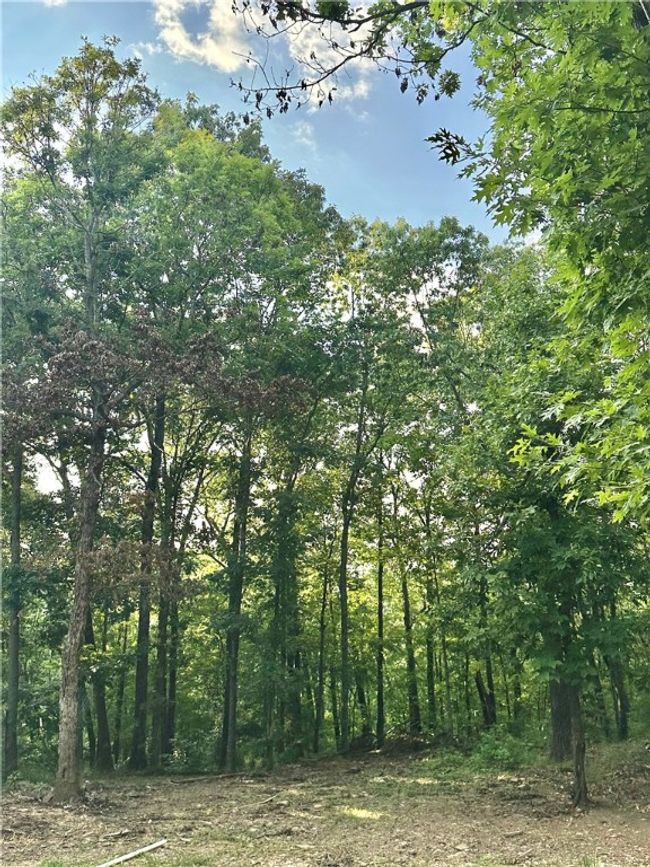 11 Slaty Gap Road, Home with 0 bedrooms, 0 bathrooms and null parking in West Fork AR | Image 17