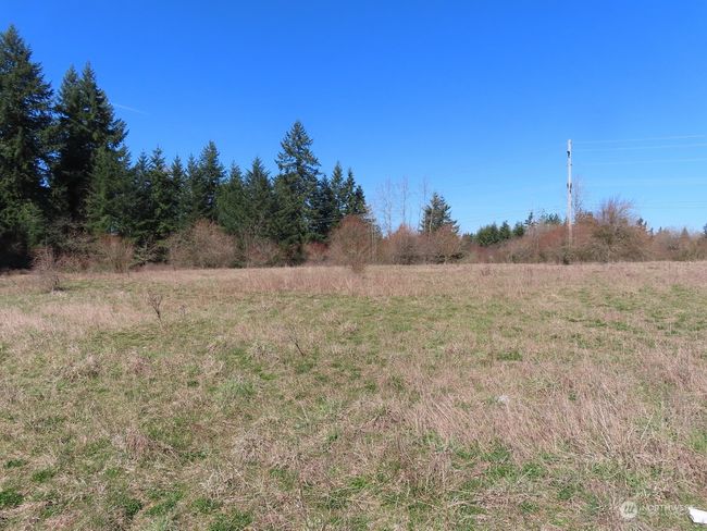 B - 107 Avery Rd W, Home with 0 bedrooms, 0 bathrooms and null parking in Napavine WA | Image 9