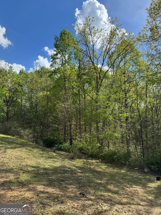 1037 County Road 43, Home with 0 bedrooms, 0 bathrooms and null parking in HEFLIN AL | Image 14