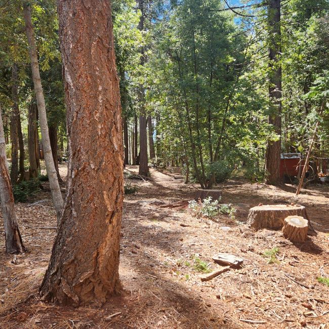 11254 Winding Way, Home with 0 bedrooms, 0 bathrooms and null parking in Clipper Mills CA | Image 5