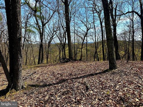 148 Parrill Hollow, BURLINGTON, WV, 26710 | Card Image