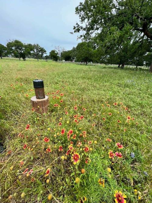 317 Yellowstone Dr, Oglesby, TX, 76561 | Card Image