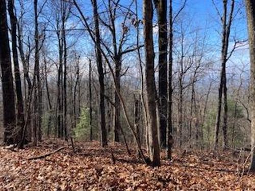 LOT 274 Heron Ct, Ellijay, GA, 30540 | Card Image