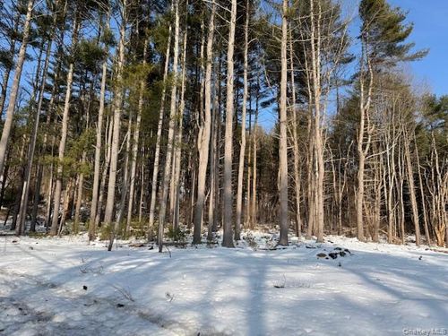 Lot 48.3 & 48.2 High Road, Lumberland, NY, 12737 | Card Image