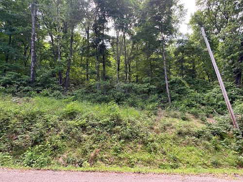 6 Wildcat Ln, Holiday Island, AR, 72631-4828 | Card Image