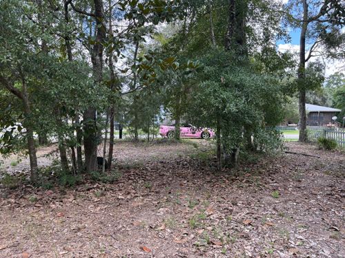 188 Palmetto Ave, Freeport, FL, 32439-5054 | Card Image