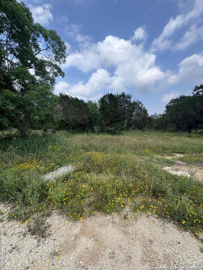 262 Wren Cir, Home with 0 bedrooms, 0 bathrooms and null parking in Spring Branch TX | Image 5