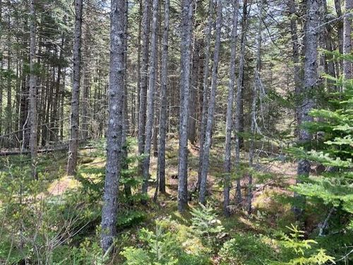 16 Woody Ln, Cushing, ME, 04563-3451 | Card Image
