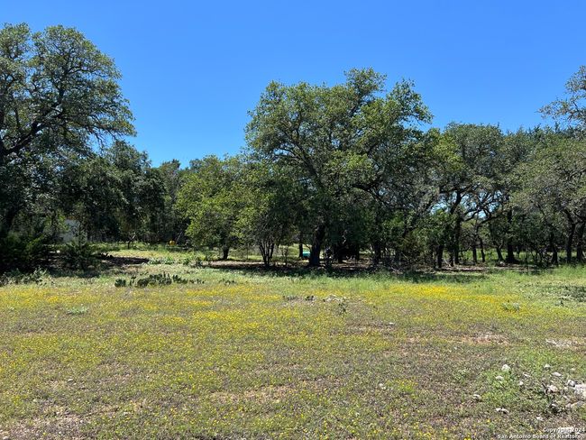 2071 Rolling River Vw, House other with 3 bedrooms, 2 bathrooms and null parking in Spring Branch TX | Image 7