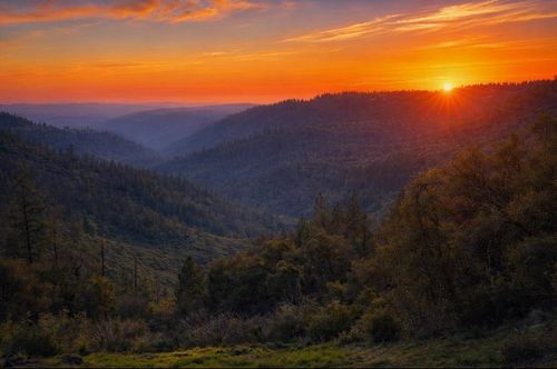 19751 Shirley Ln, Foresthill, CA, 95631-9770 | Card Image