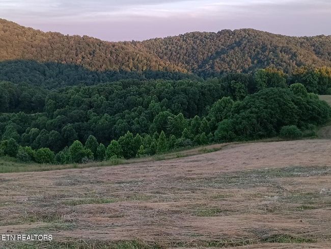 170 Ball Ridge Rd, Home with 0 bedrooms, 0 bathrooms and null parking in Cumberland Gap TN | Image 14