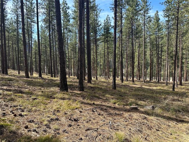 31760 Old Highway 10 W, Home with 0 bedrooms, 0 bathrooms and null parking in Alberton MT | Image 28