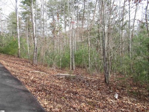 110 Fireside Ln, Pickens, SC, 29671-8316 | Card Image