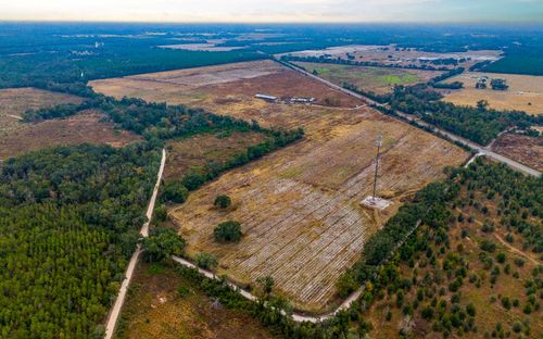 8619 W Us 27, Mayo, FL, 32066 | Card Image