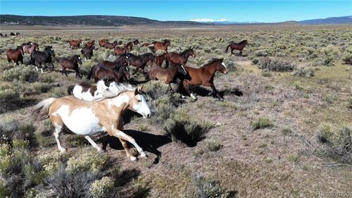 444 W Valley Dr, San Luis, CO, 81152 | Card Image