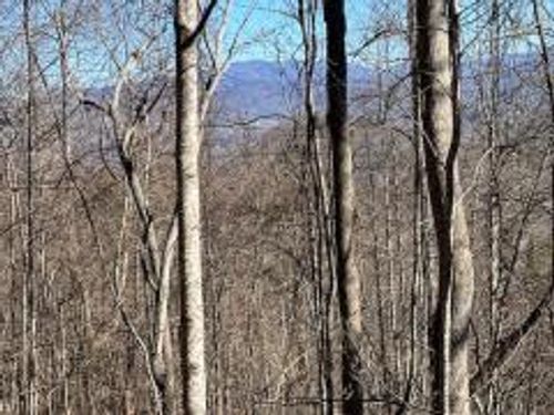 Lot 29 Hidden Summit Rd, Hiawassee, GA, 30546 | Card Image