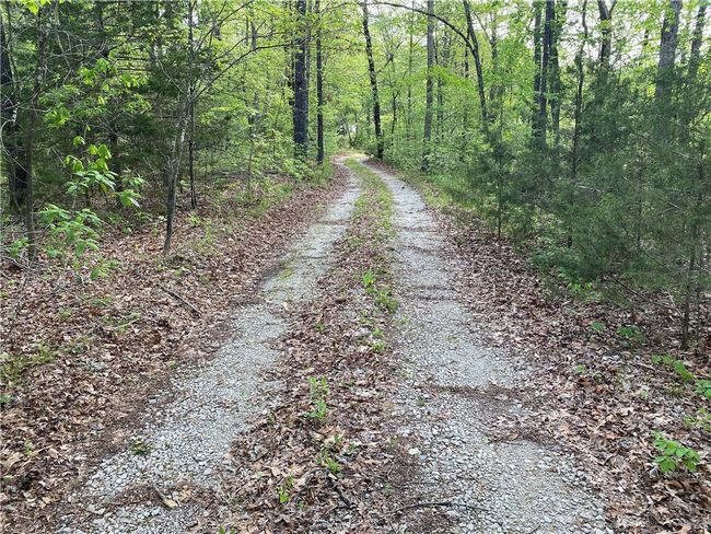 300 Nc 3150, House other with 2 bedrooms, 2 bathrooms and null parking in Jasper AR | Image 29