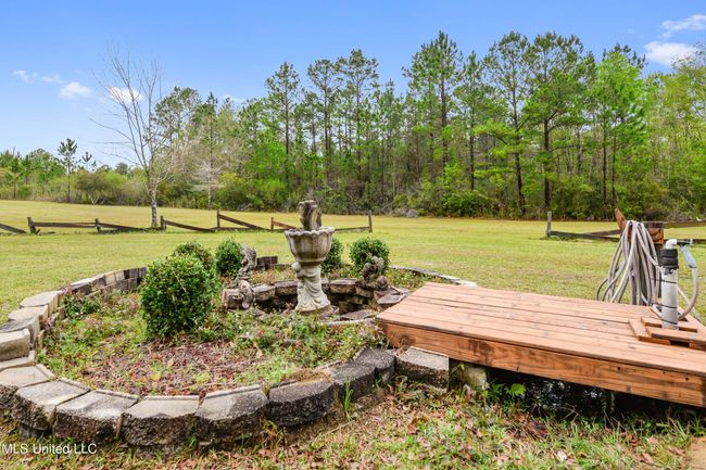 Front yard | Image 26