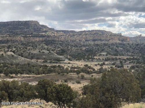 XX Road 4990, Bloomfield, NM, 87413 | Card Image