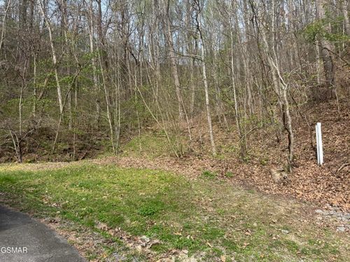 Lot 12 Whetstone Rd, Sevierville, TN, 37862 | Card Image