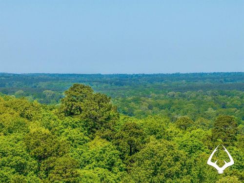 TBD County Road 177, Garrison, TX, 75946 | Card Image