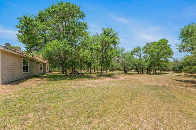Views of the 8 wooded acres. | Image 27