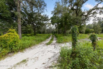 Long, private driveway to your new home! | Image 2