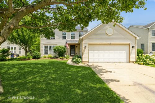 1289 Evergreen Ln, Elgin, IL, 60123-4102 | Card Image